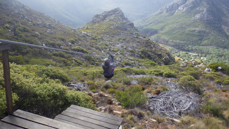 Cape Town Ziplines image 1