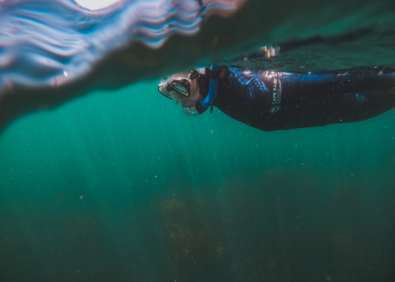 Great African Sea Forest Single Scuba Dive Boat Entry image 6