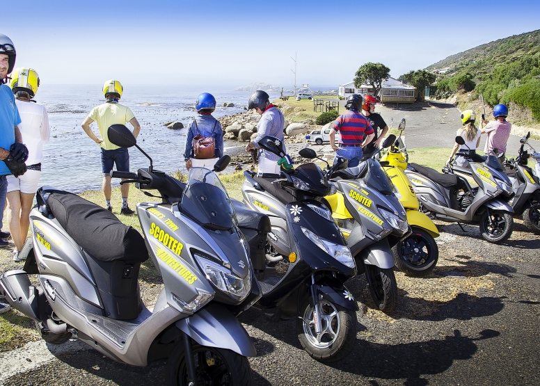 Exclusive Peninsula Scooter Tour image 8