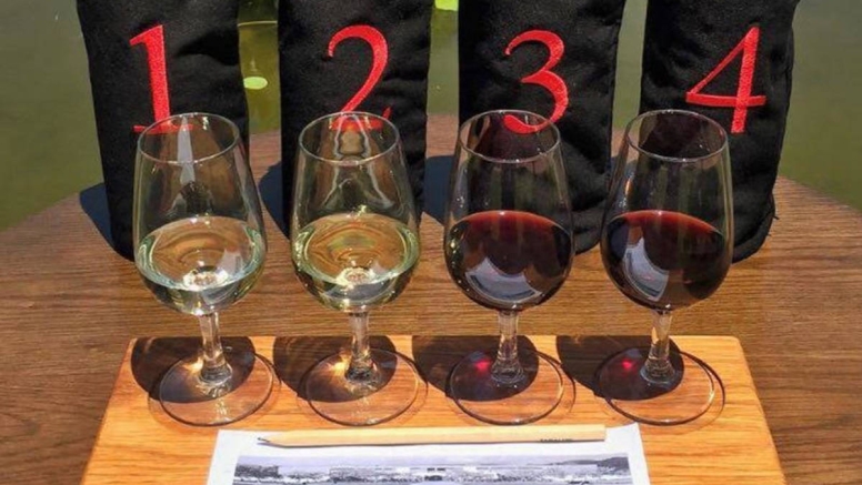 Blind Wine Tasting Challenge image 1