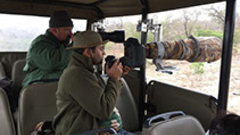 Photographic Full Day Private Safari Kruger Park image 9