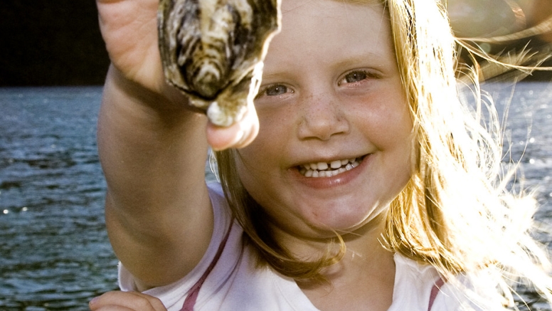 Oyster Tour image 2
