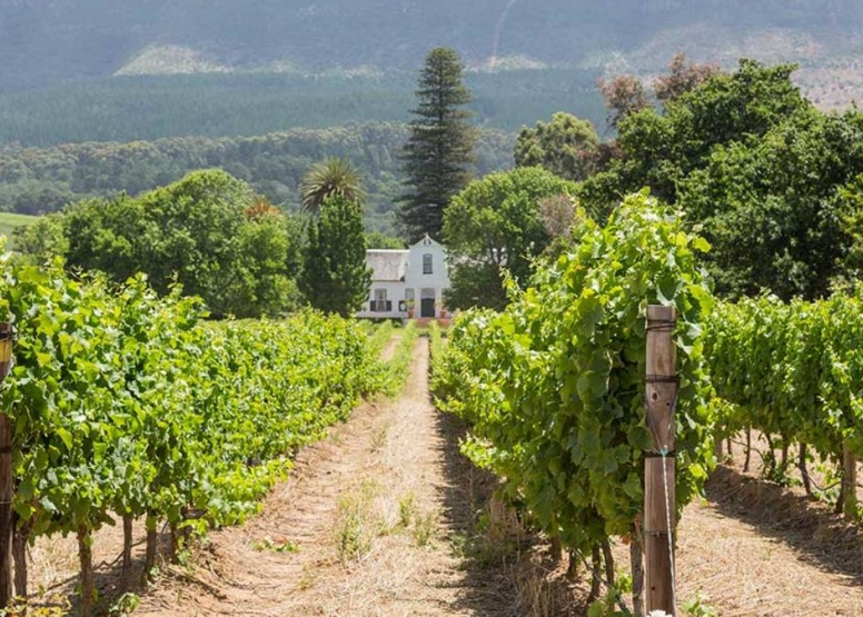 The Constantia Classic - Full Day Tour image 1