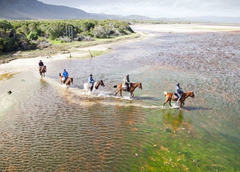 Beach Horse Ride - Stanford image 4