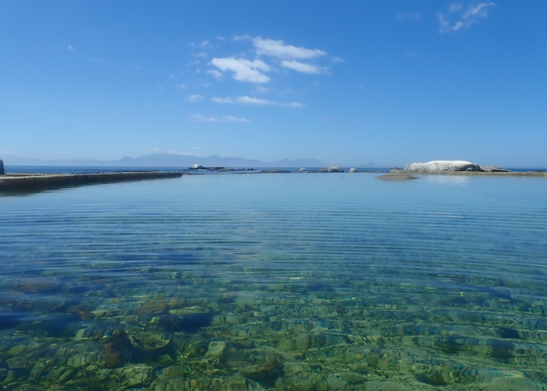 Snorkel Cape Town's Stunning Tidal Pools image 3