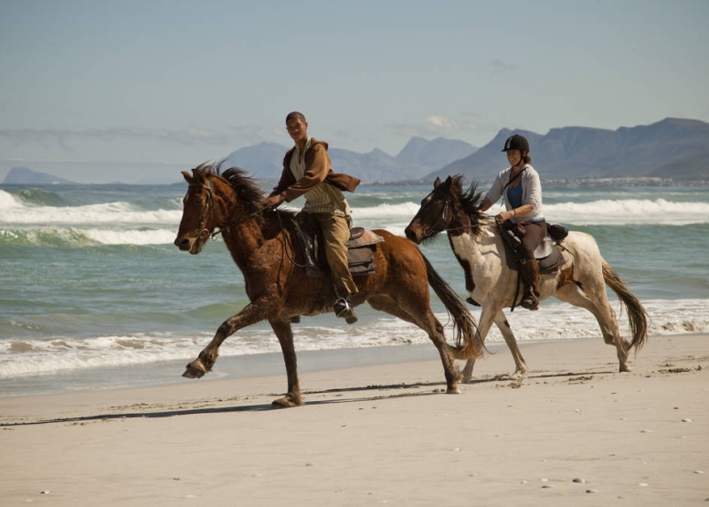 Beach Horse Ride - Stanford image 1