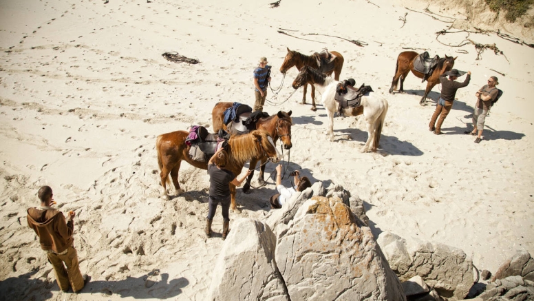 Beach Horse Ride - Stanford image 3