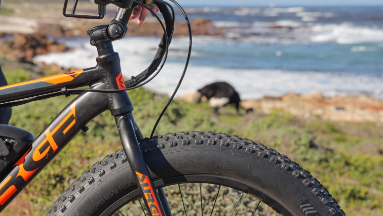 Electric Bike Cape Peninsula Tour image 8