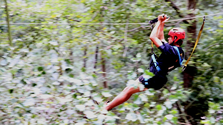 Tree Top Slides (Hermanus) image 1