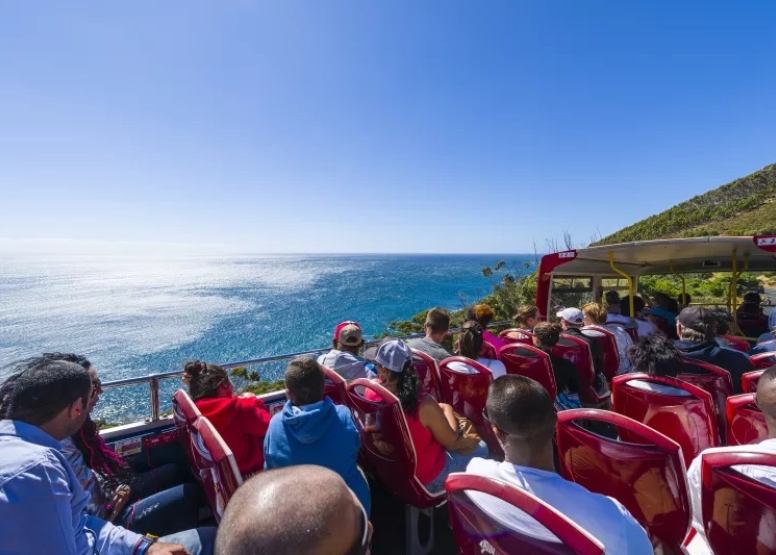 City Sightseeing Cape Town 1 Day Hop on Hop off bus ticket image 6