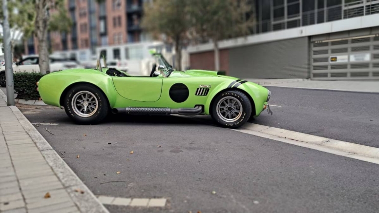 Full Day Cobra Rental Green image 1