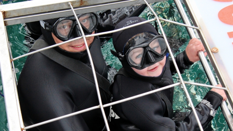 Shark Cage Diving Gansbaai image 5