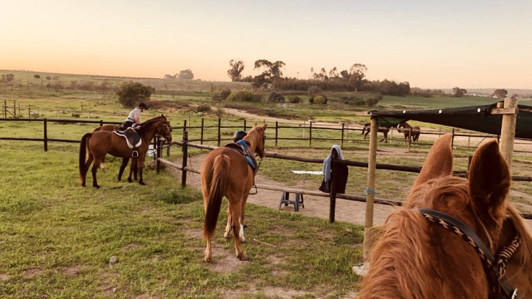 HALF DAY HORSEBACK WINE TOUR image 1