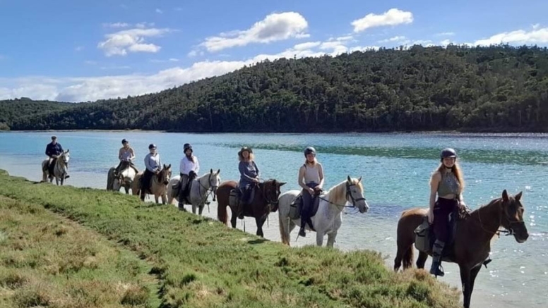 Kariega River Horse Ride image 2