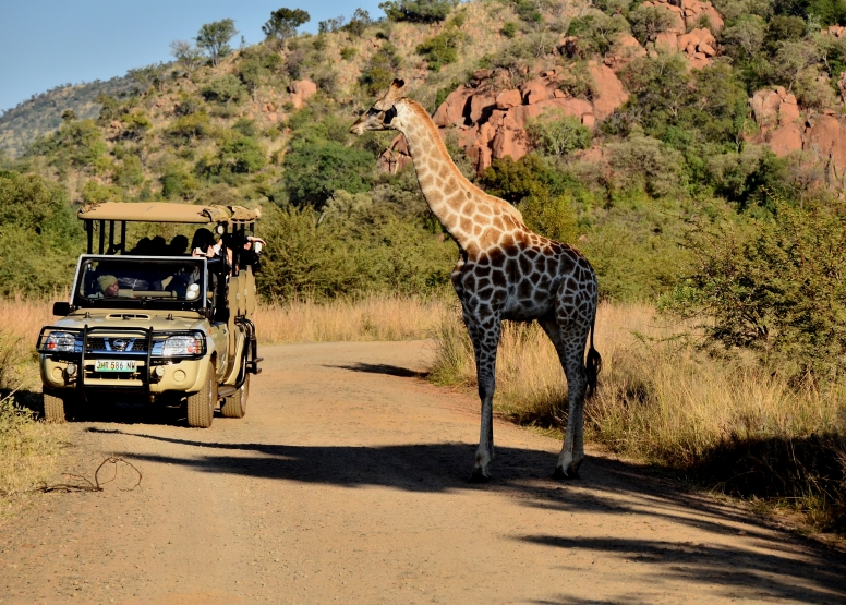 Private Game Drive Sun City - 10 Seater image 6