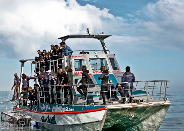 Shark Cage Diving Gansbaai - South African Special image 3