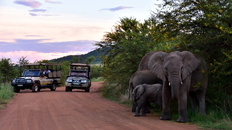 Private Game Drive Sun City - 10 Seater image 7