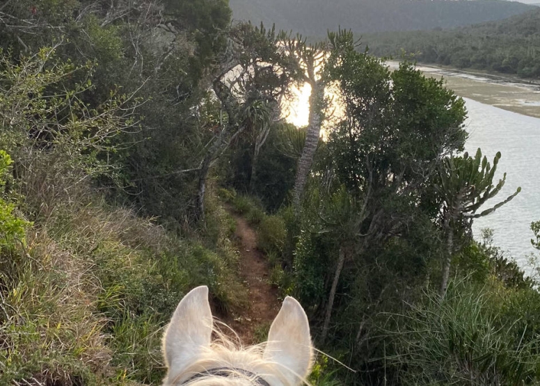 Kariega River Horse Ride image 11