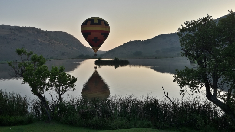 Safari Flight image 5