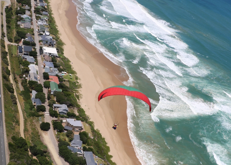 Dolphin Tandem Paragliding Garden Route image 10