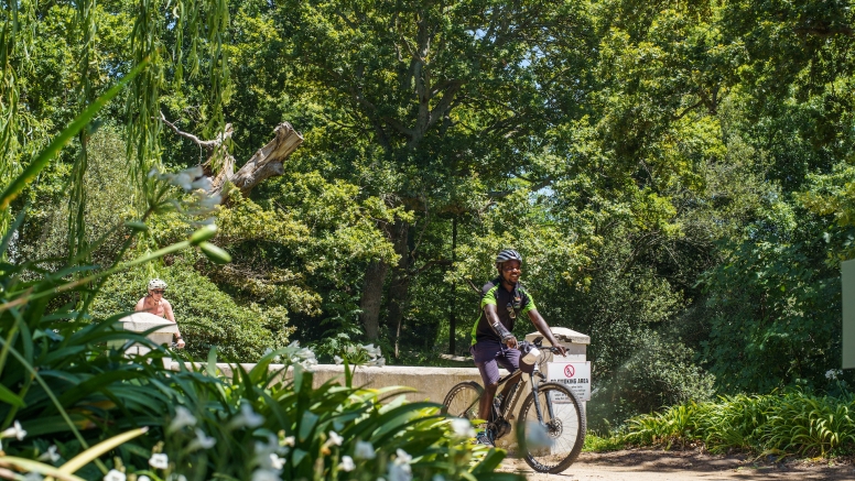 Franschhoek Half Day Winelands Mountain Bike Tour image 2