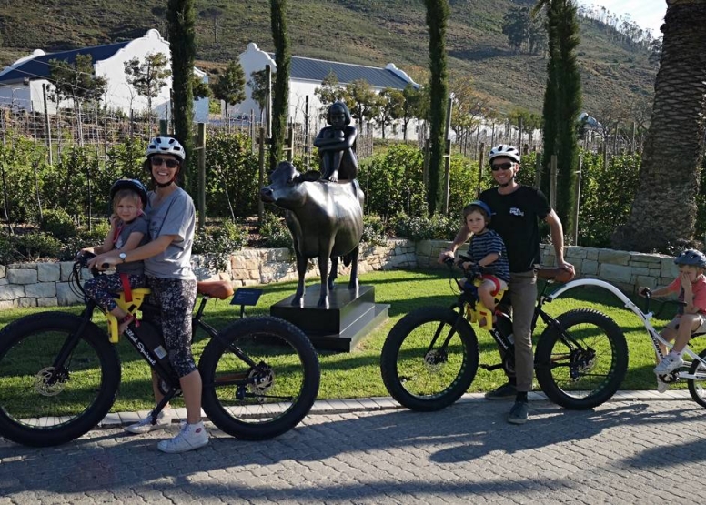 Vinebikes  Franschhoek - Half Day E-Bike Wine Tour image 3