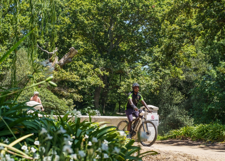 Franschhoek Family Cycle Tour image 4