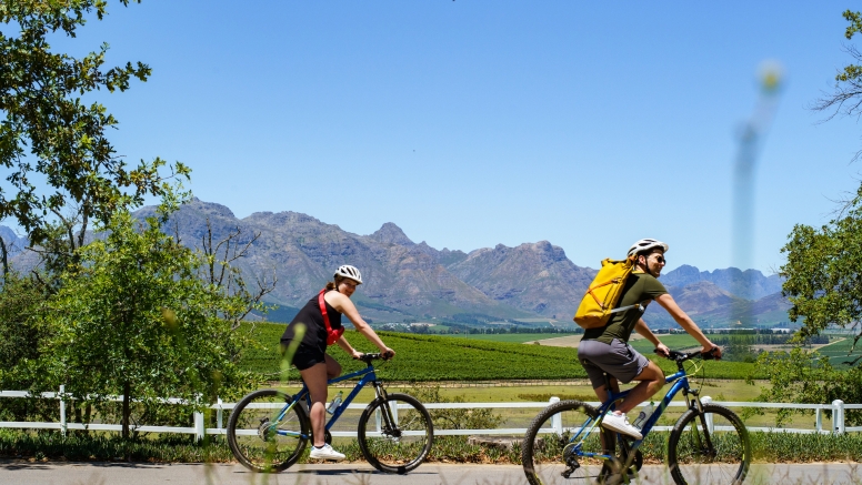 Stellenbosch Half Day Winelands Mountain Bike Tour image 4