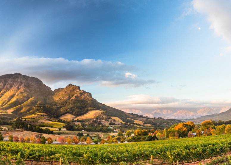 Winelands Full Day Tour image 1