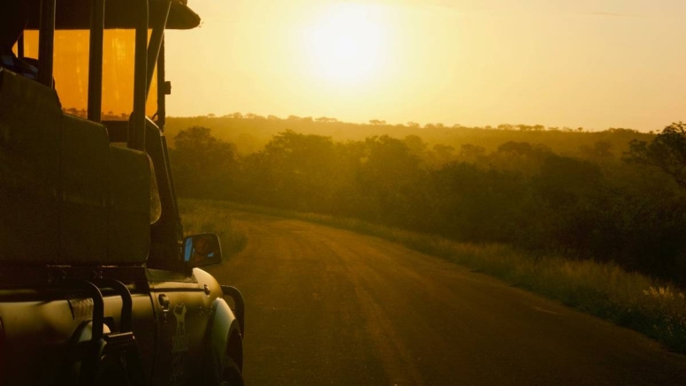 Sunset Kruger Game Drive image 7