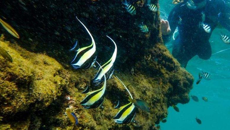 Cape Vidal Snorkeling Adventure image 1