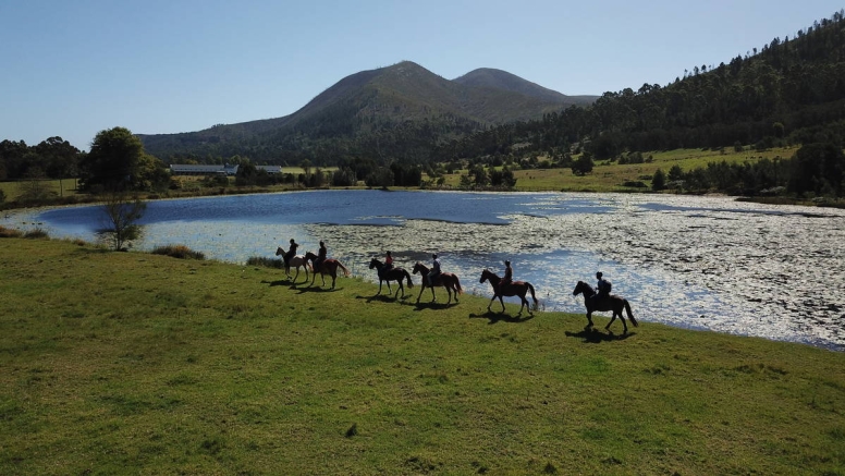 1 Hour Mountain and forest horse ride Kurland Park image 2