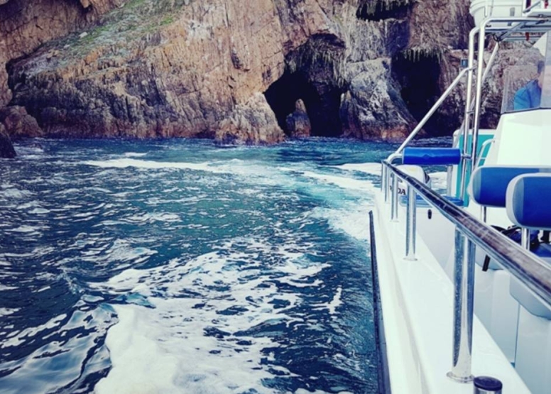 Knysna Eco Marine Boat Trip image 3