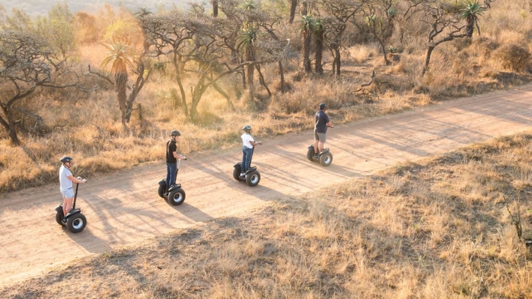 1 Hour Segway Safari at Tala Game Reserve image 2 1 Hour Segway Safari at Tala Game Reserve image 2