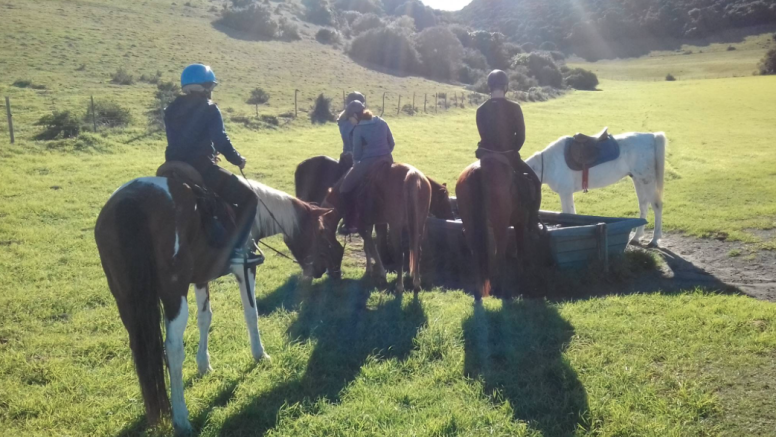 Kariega River Horse Ride image 3