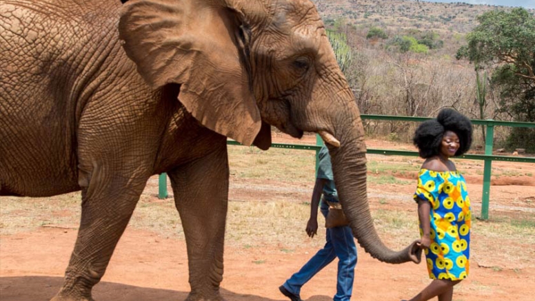 Elephant Interaction and Monkey Sanctuary Tour image 2