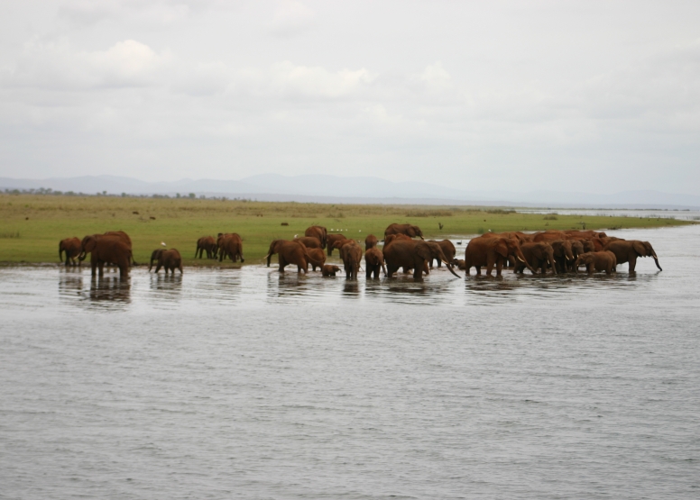 Jozini Boat Cruise (3-4 hrs) image 1