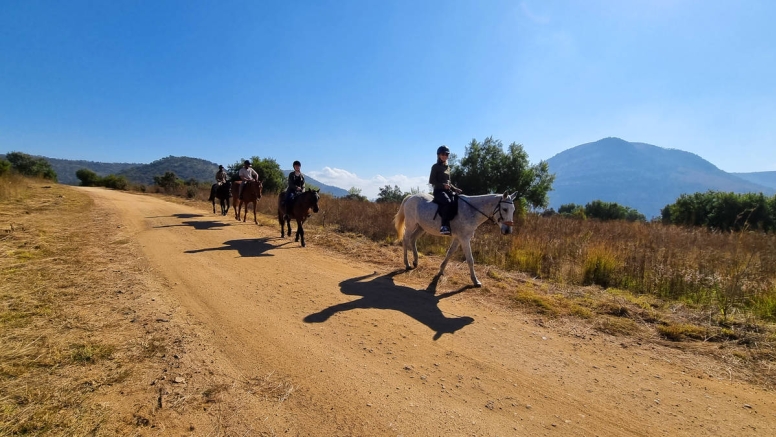 Sunset Horseback Safari image 6