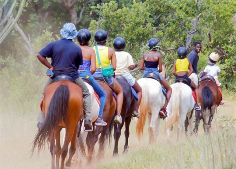 2 Hour Sunrise Safari Horse Ride Harties image 7