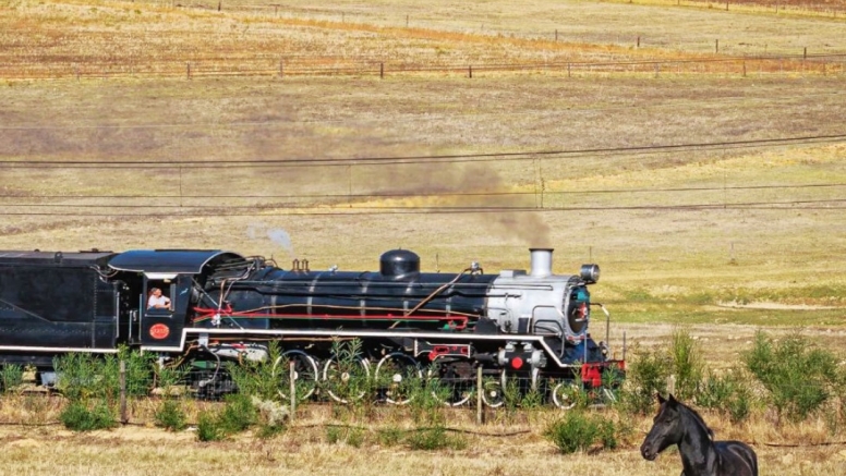 Steam Train to Elgin Day Seating image 4