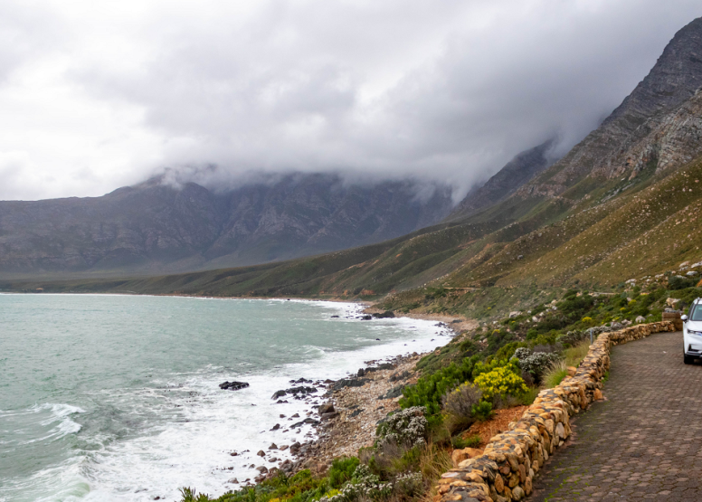 Full Day Hermanus image 4
