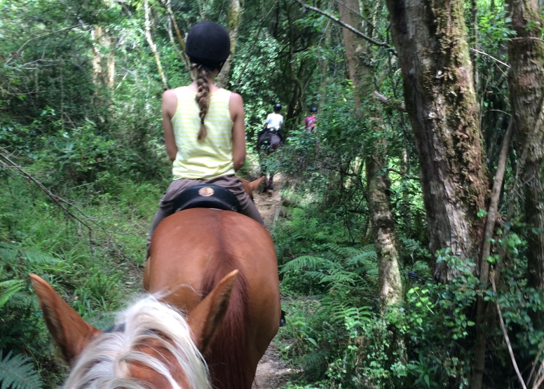 2 Hour Fynbos River Horse Ride image 2