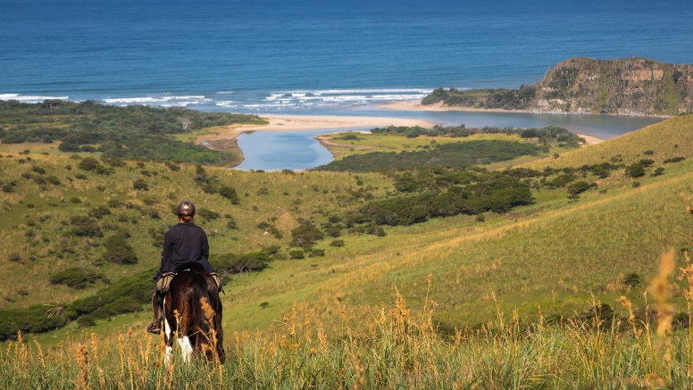 7 night 8 day Wild Coast Horse Trail our Signature Monthly Adventure Trail image 8