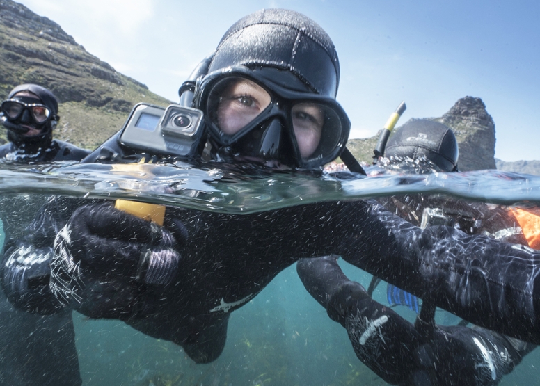 Swim with Seals image 3