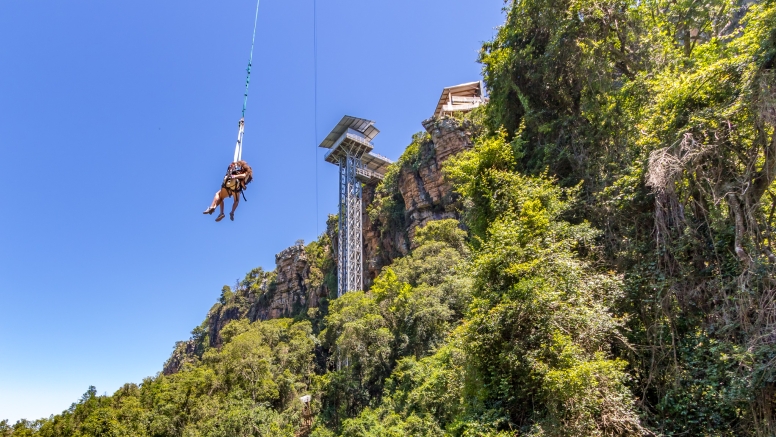 Graskop Zipline and Big Swing image 3