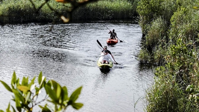 4 Hour Kosi Bay Kayaking Adventure image 1