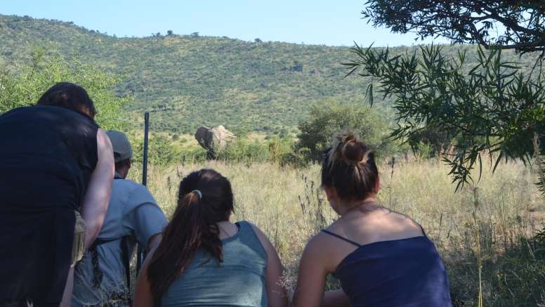 Pilanesberg Game Walk image 5