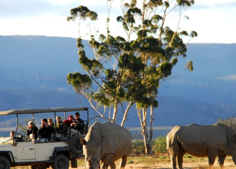 Cape Town Safari Full Day image 1