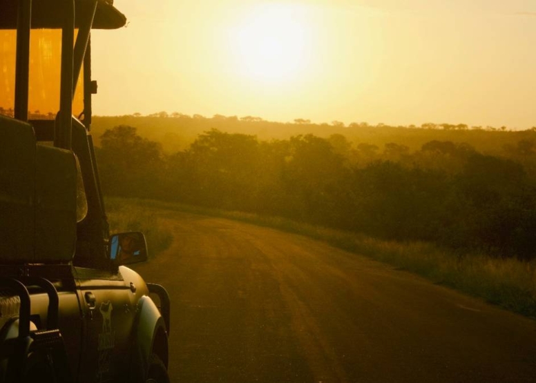 Sunset Kruger Game Drive image 7