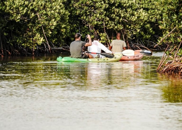 4 Hour Kosi Bay Kayaking Adventure image 3